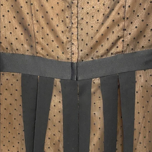 H&M Black and Tan Sheer Dress - Picture 10 of 11